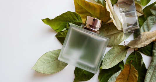 A clear fougere perfume bottle laying on a bed of leaves against a white background.