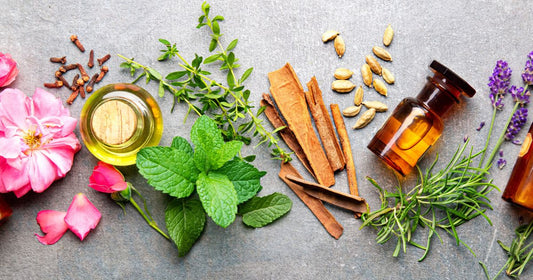 Various ingredients with various smells used to make perfume scents.