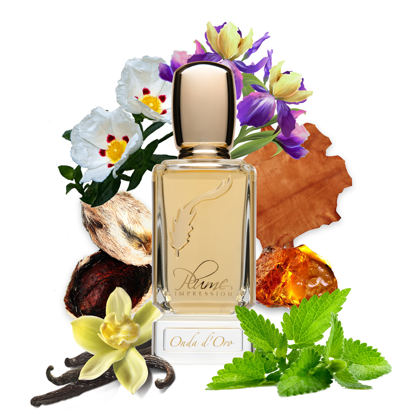 Onda d'Oro Eau de Parfum